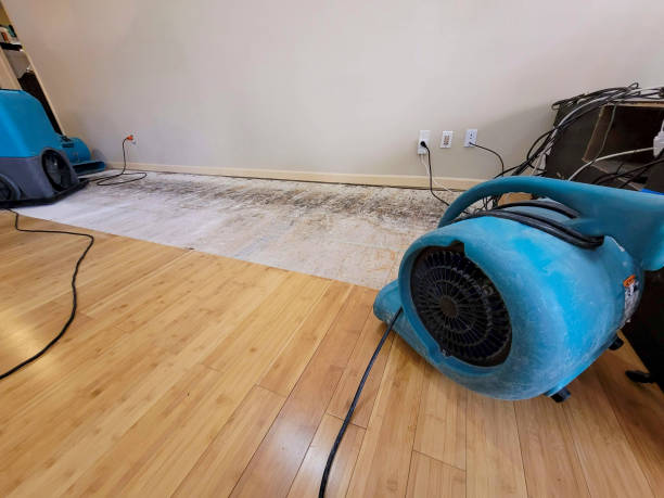 Professional Structural Drying technician working in Overland Park, KS